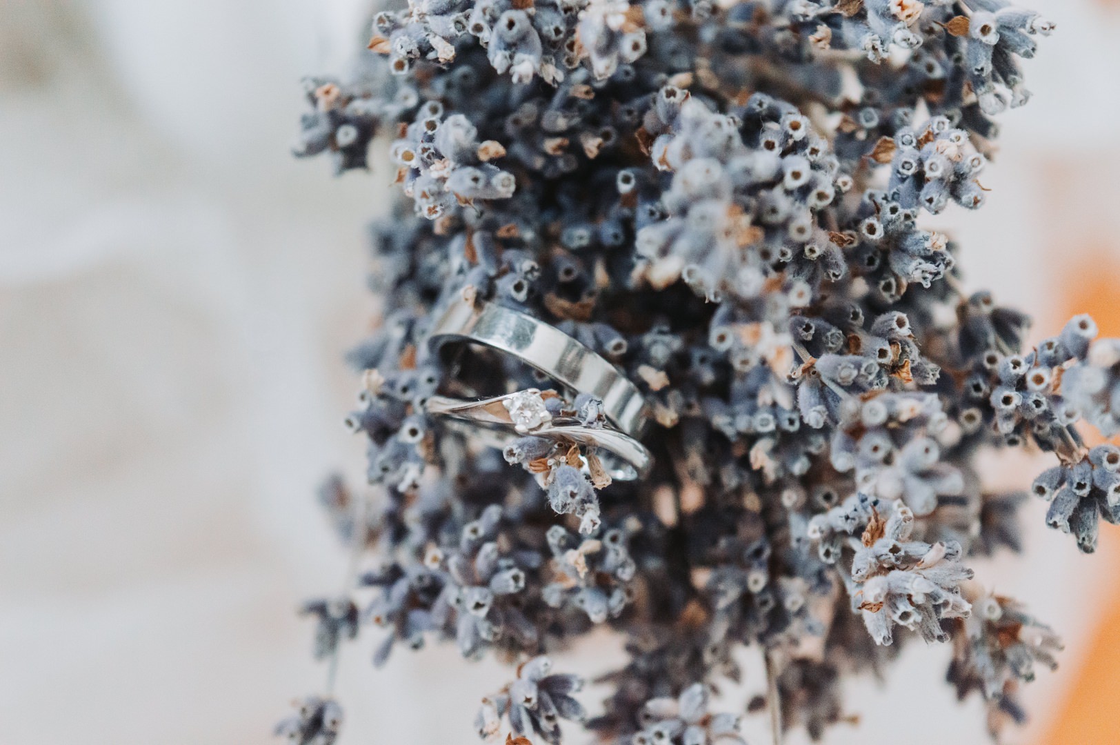 Light & Airy Sample_22-hd