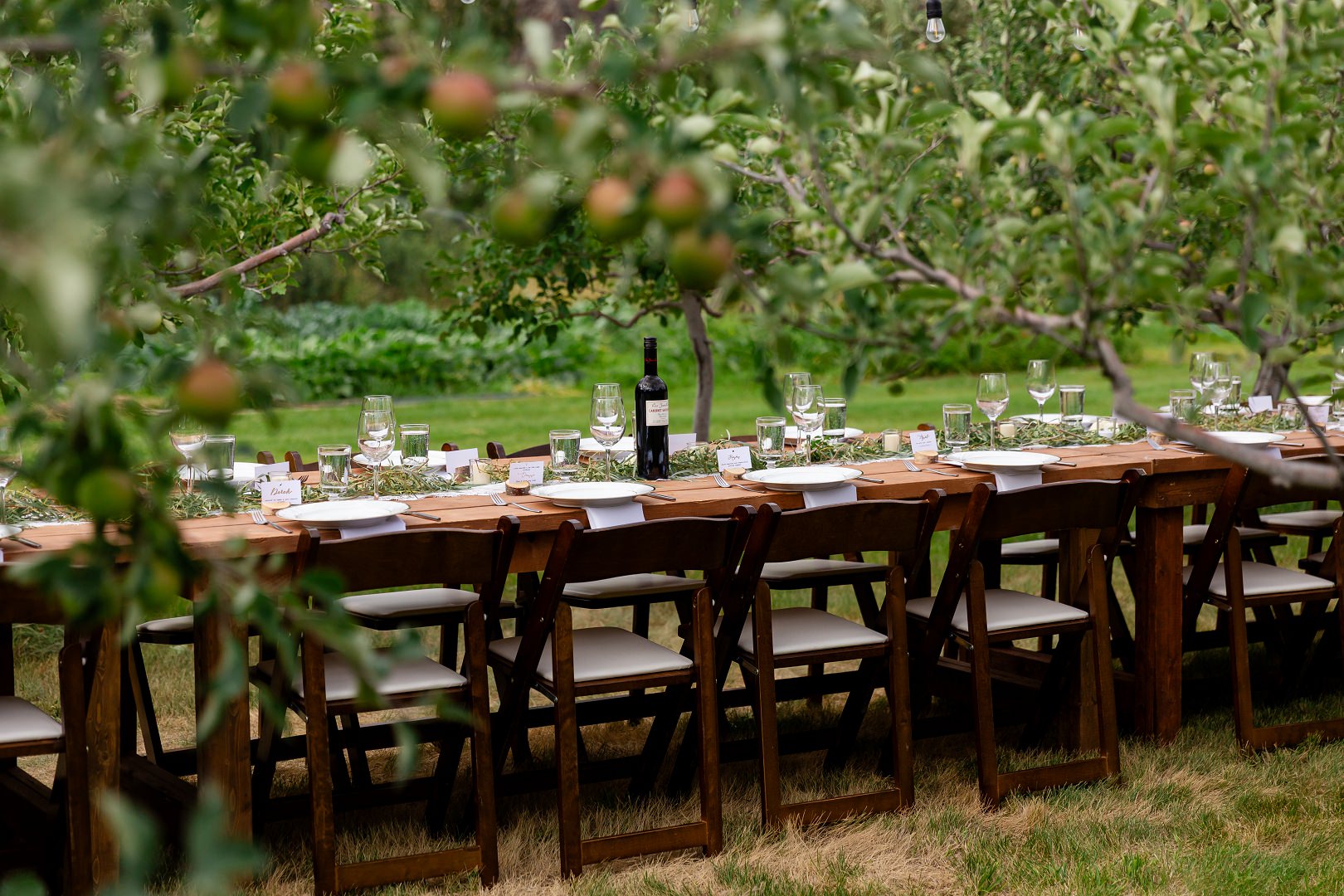 Natural Sample_10-hd