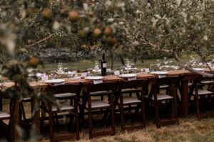 Vintage Sample_10-hd