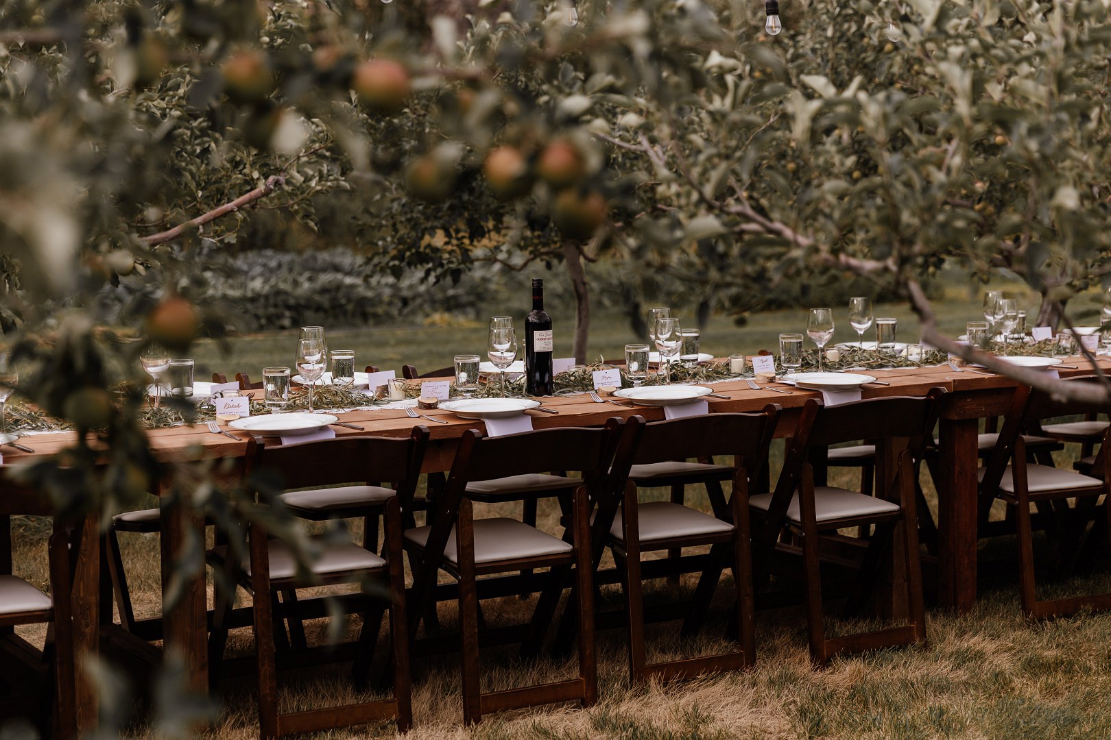 Vintage Sample_10-hd