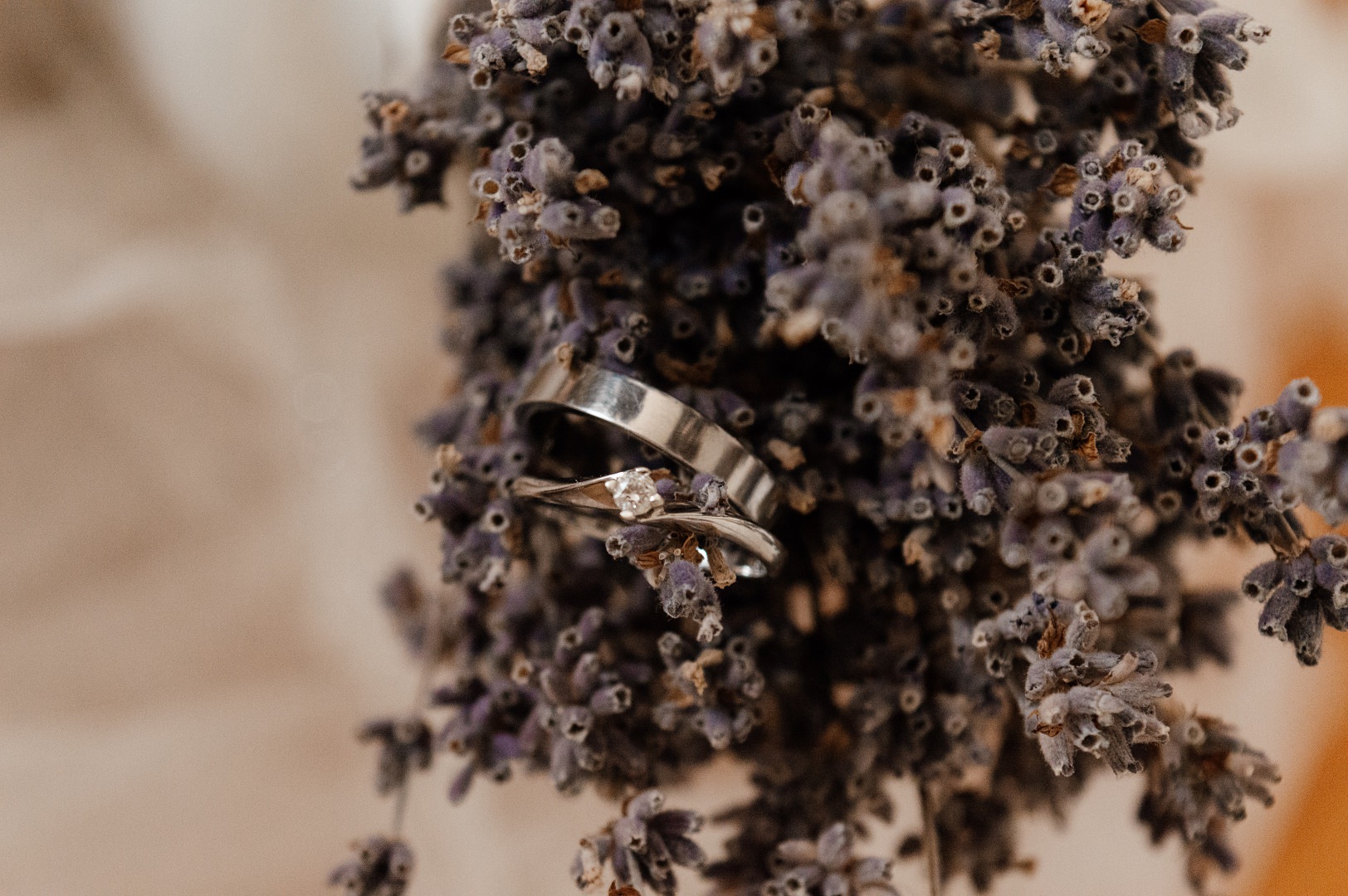 Vintage Sample_22-hd